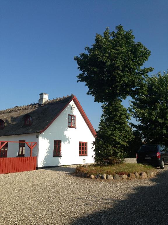Bulbrovejs Bed & Breakfast Havdrup エクステリア 写真